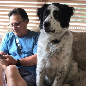 Meet your Posher, Michael